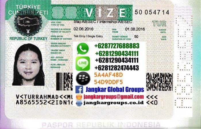 visa-aiesec-turki