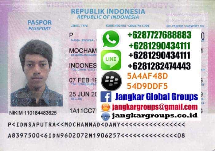 pasport-dany