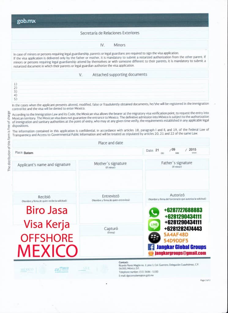 formulir visa mexico