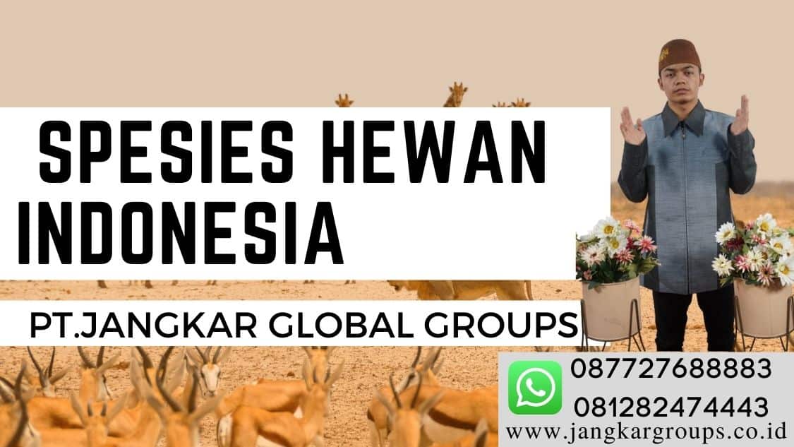 spesies hewan indonesia