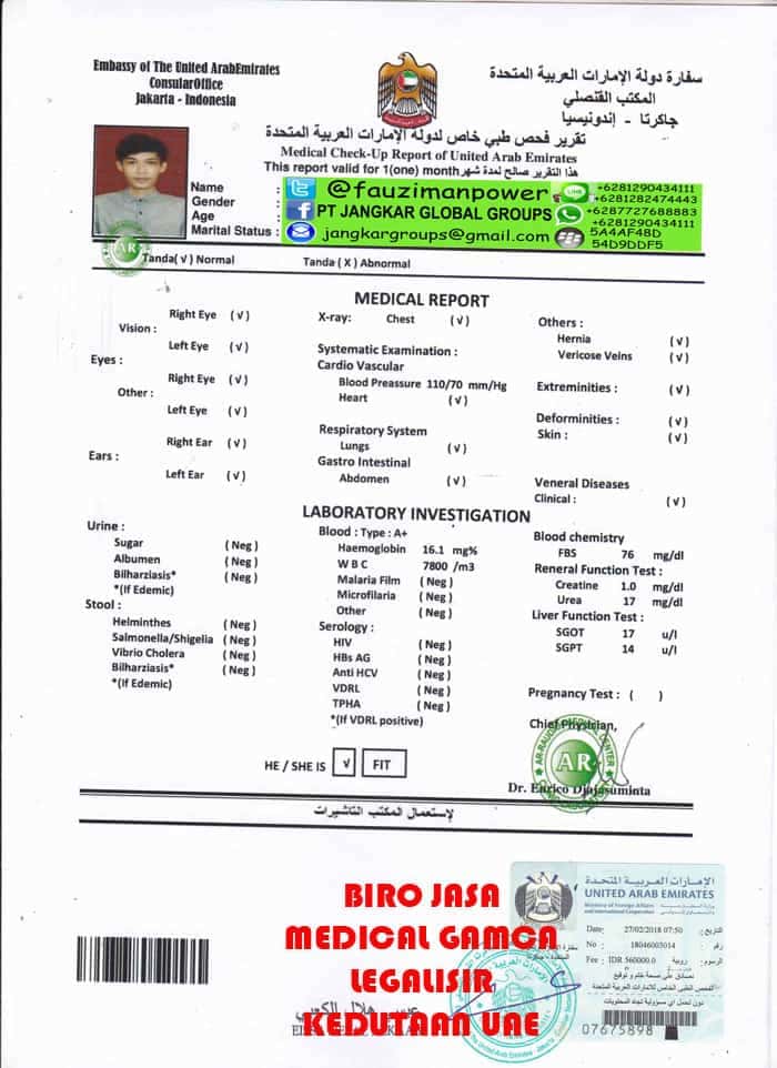 Unduh 83 Koleksi Gambar Hasil Cek Up Terbaik Gratis