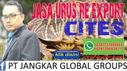 Jasa Urus Re-export CITES