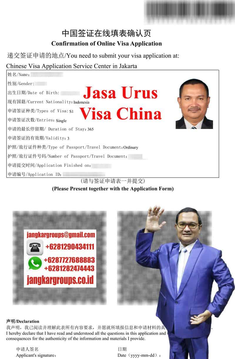 Confirmation Of Online Visa Aplication